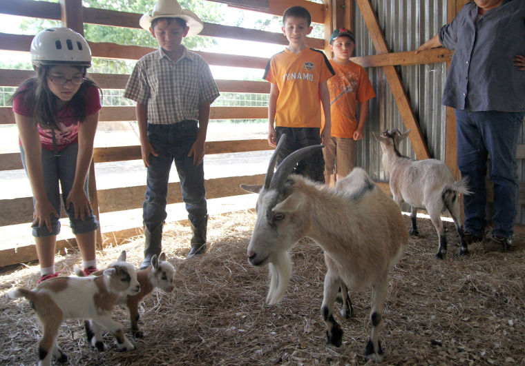 Blora Ranch Cowboy Camp